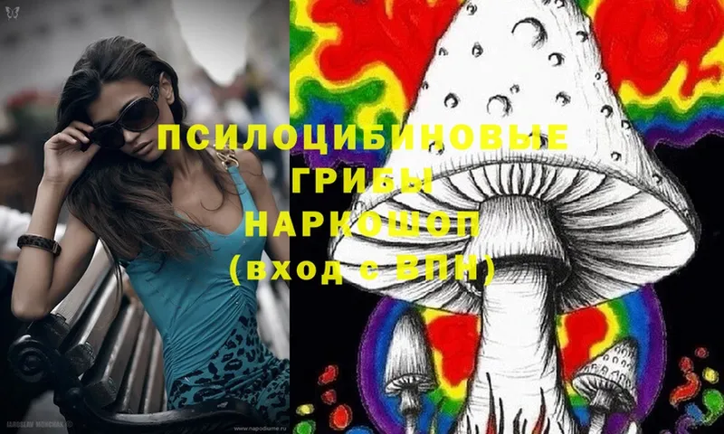 Псилоцибиновые грибы Magic Shrooms  OMG как войти  Удомля  сколько стоит 